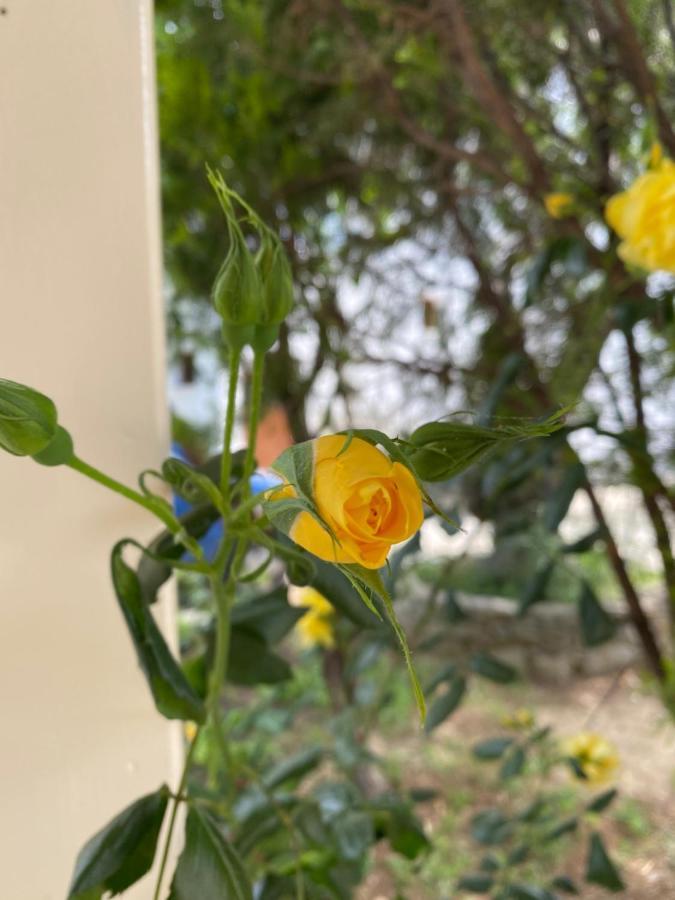 Villa Valmas Katsaros  エクステリア 写真
